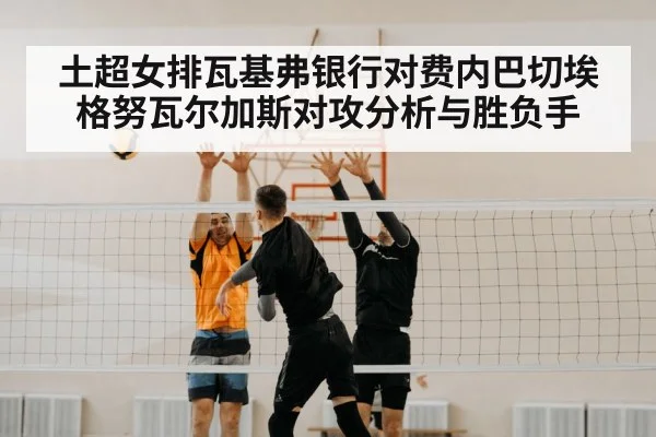 volleyball match net block