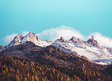 澳彩图库开奖-索肖：中场想过换下弗雷德 图赫尔：没有直红太奇怪